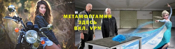 прущие грибы Карталы