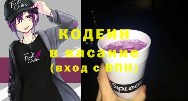 стафф Касимов
