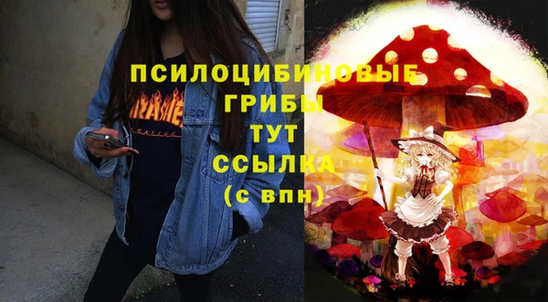 прущие грибы Карталы