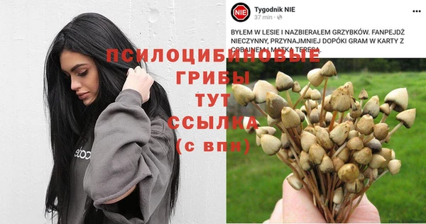 соль ск Карпинск