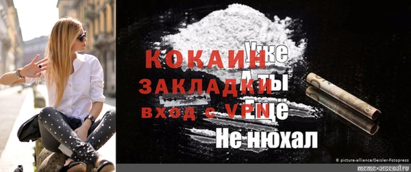 стафф Касимов