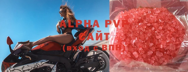 прущие грибы Карталы