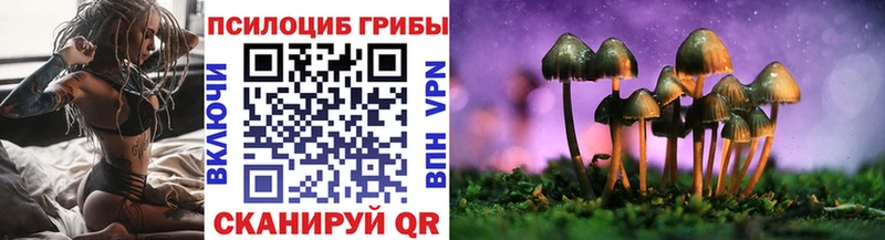 Псилоцибиновые грибы MAGIC MUSHROOMS  Купить закладки  Верхотурье 